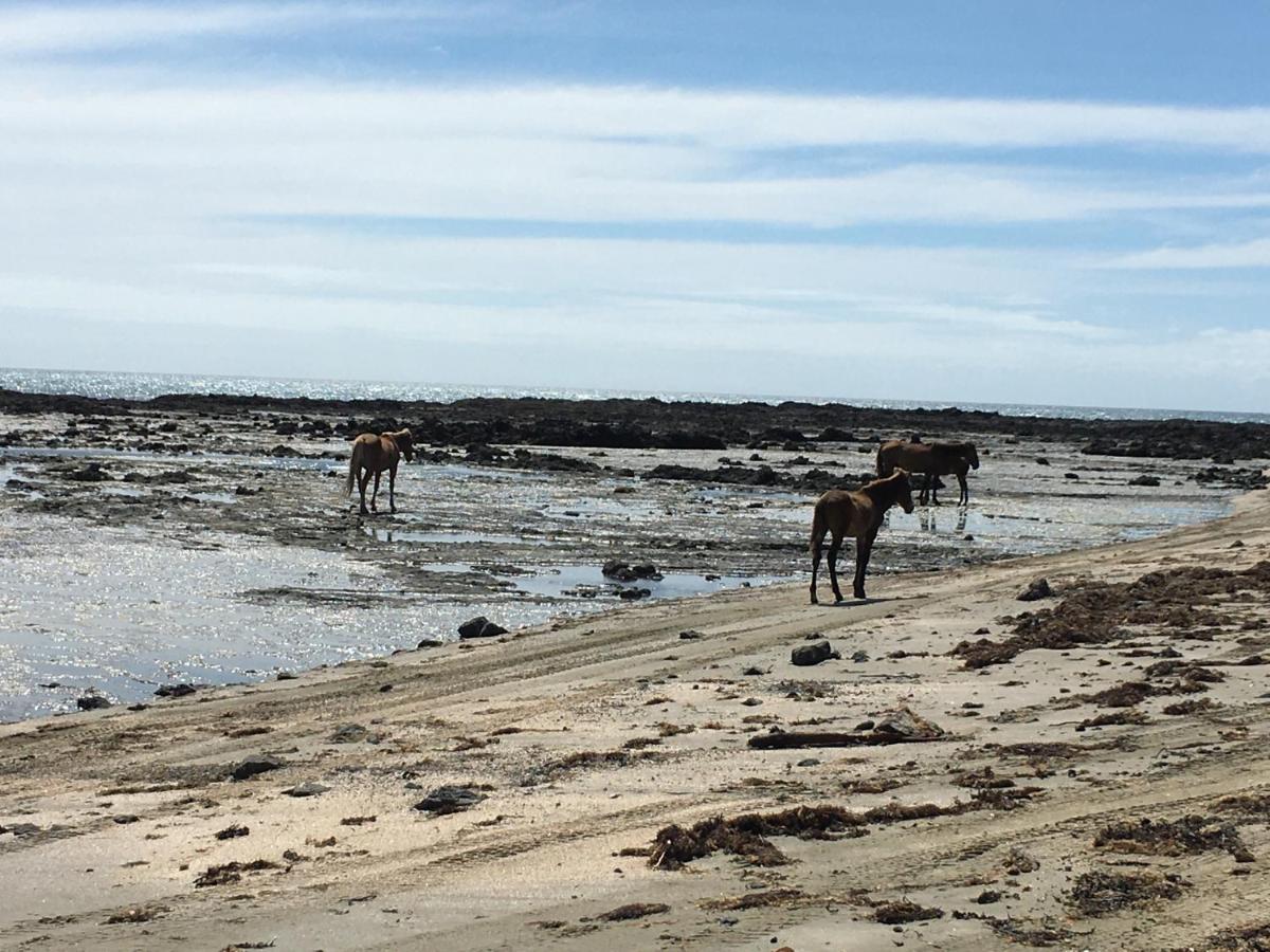 90 Mile Paradise Ahipara Ngoại thất bức ảnh